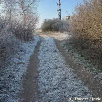 20260122_5f0e2ebe-e3b3-4f9b-835c-e23657465528