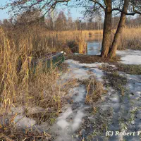 20260122_bacd71b7-7b18-4a95-acb7-3ea92d888235