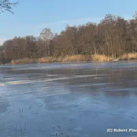 20260122_dc25d4c1-b3d2-4e19-92a7-5a645c554a84