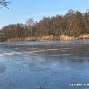 20260122_dc25d4c1-b3d2-4e19-92a7-5a645c554a84