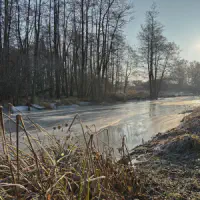 20260122_e179767a-889f-4960-9744-fe9ac8491b43