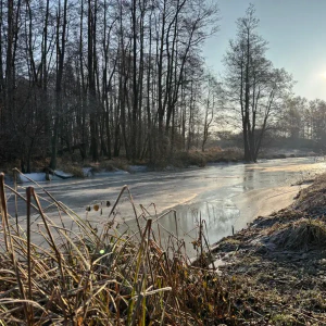 20260122_e179767a-889f-4960-9744-fe9ac8491b43