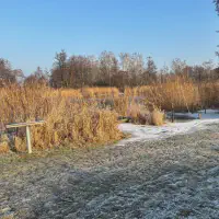 20260122_ee50f6a3-6dfa-47d2-9ab2-481244f334d5