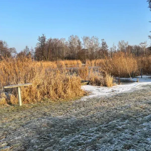 20260122_ee50f6a3-6dfa-47d2-9ab2-481244f334d5