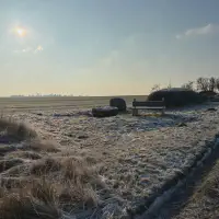 20260122_fdb1478c-6690-4a4f-b061-69b43dff4a79