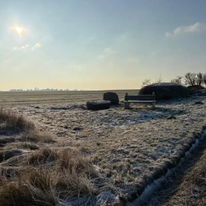 20260122_fdb1478c-6690-4a4f-b061-69b43dff4a79