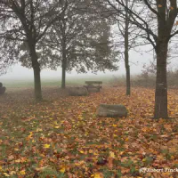 8f2eafb5-3b1c-4f67-a2fe-6d8dc8c78a42