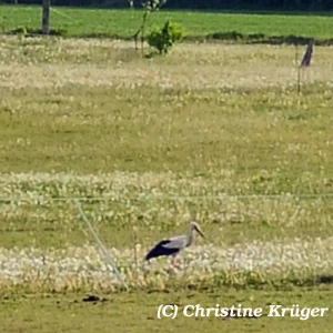 301_IMG_20250510_171820~3