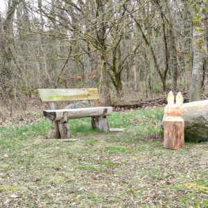 500_IMG_20250331_140352~2