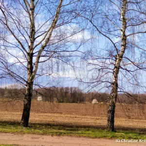 IMG_20240323_152731~2