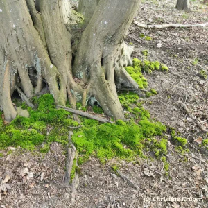 IMG_20240331_162808~2