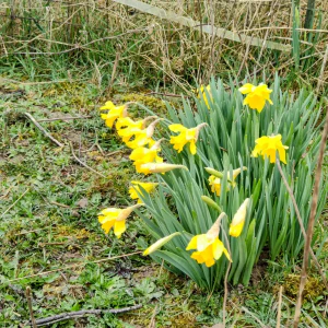 IMG_20250326_111413~2