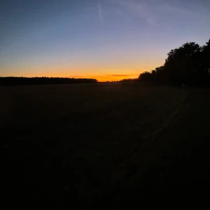 231b50b2-eefd-467e-96a1-25e6a395de08