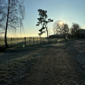 3616152e-9dbe-4639-b423-6d1fd1a1b2b7