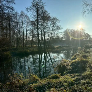 4b904fff-ca3d-4195-b1b1-bbc57291da65