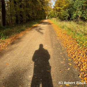 5d491839-1f20-4e7c-a280-fa43efee3331