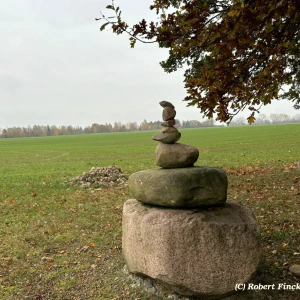 6527551c-0999-463e-96c2-623f143142ea