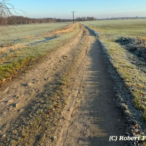 67b81051-56e5-4c99-8571-52394a15afd6