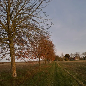 767c4c96-64cc-4f7d-ac95-5791c1ded16d