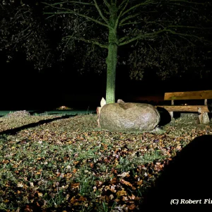 8b3c912f-4105-4bac-be6c-76f8d2dab281