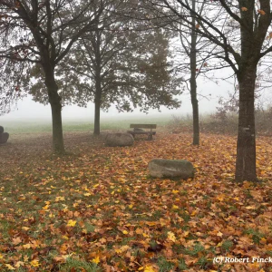 8f2eafb5-3b1c-4f67-a2fe-6d8dc8c78a42