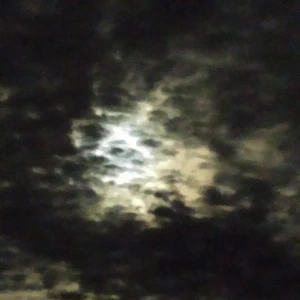 901_IMG_20251105_181342