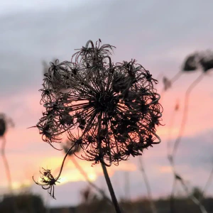 902_IMG_20251102_163258~2