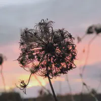 902_IMG_20251102_163258~2