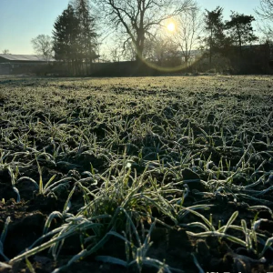 993efc0a-bad9-4962-937a-8114292b5572