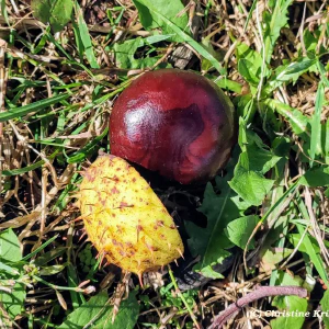 IMG_20240927_123955~2