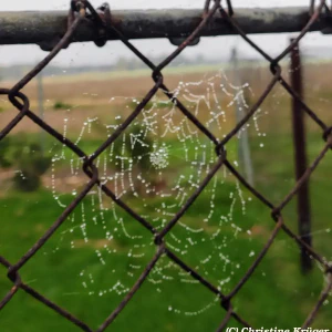 IMG_20241006_110326~2