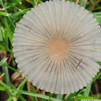 IMG_20250914_110115~2