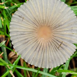 IMG_20250914_110115~2