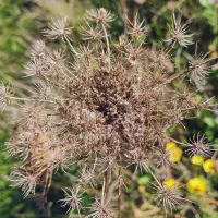 IMG_20250923_161843~2