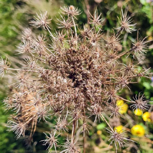 IMG_20250923_161843~2