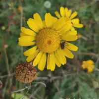 IMG_20251010_123727_1