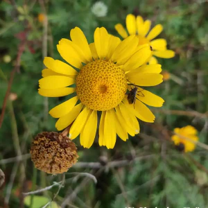 IMG_20251010_123727_1