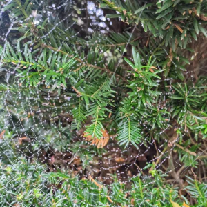 IMG_20251012_110026~2