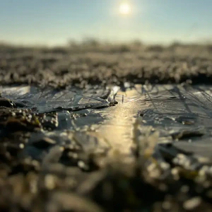 b81a6e09-1b9f-46cf-8532-6d0a2504fd21