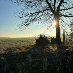 c1121ddc-0a9b-4798-80f0-c62893f84ff2