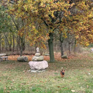 d0c50c96-1a91-46bb-a908-76d512d71483