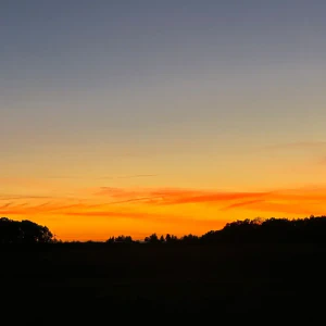 d2489388-4e1e-4842-a0b4-6c861ce291f6