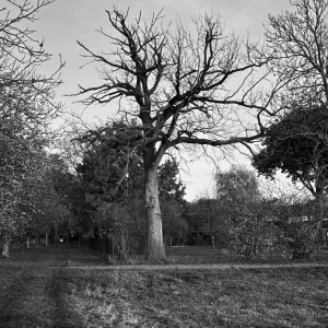 eaf41e10-73cb-4972-aadf-2416e58e4635