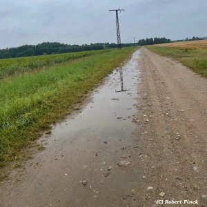 094df8f6-ce8c-42dc-8428-a79d364669a2