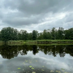 69eaaafb-bea2-4f12-9b2f-f2b8ea634800