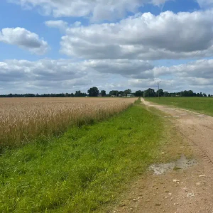 838d53b4-c8ea-4682-952e-5613aaa08b8e