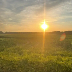 87f2444f-0719-4eba-8e61-f079587b50a3