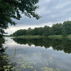 9fd8f12d-8a16-44c3-bde2-7b5f74eb50c0