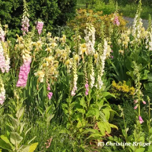 IMG_20240523_173002~2