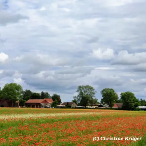 IMG_20240528_110735~3